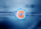 Культивирование эмбрионов в среде ЭмбриоГен