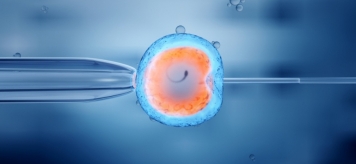 Культивирование эмбрионов в среде ЭмбриоГен