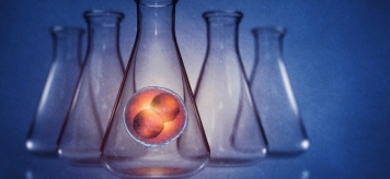 В каких средах происходит эффективное культивирование эмбрионов и как это влияет на результат?