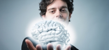 Мифы и интересные факты о человеческом мозге