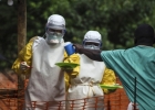 Источники и симптомы вируса Эбола