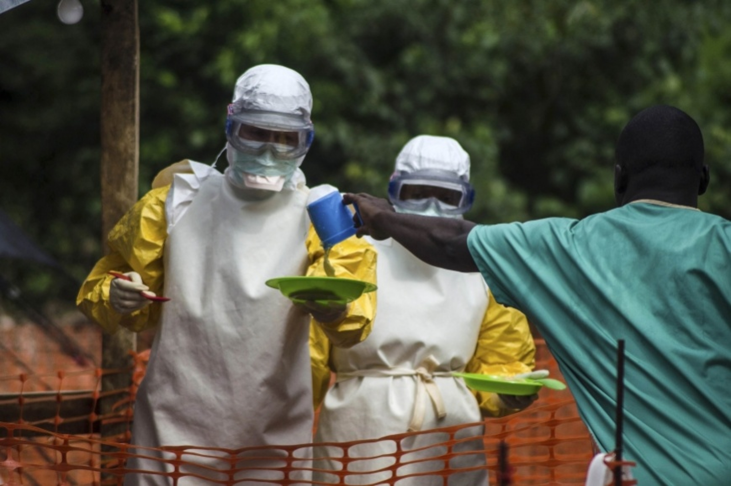 Источники и симптомы вируса Эбола
