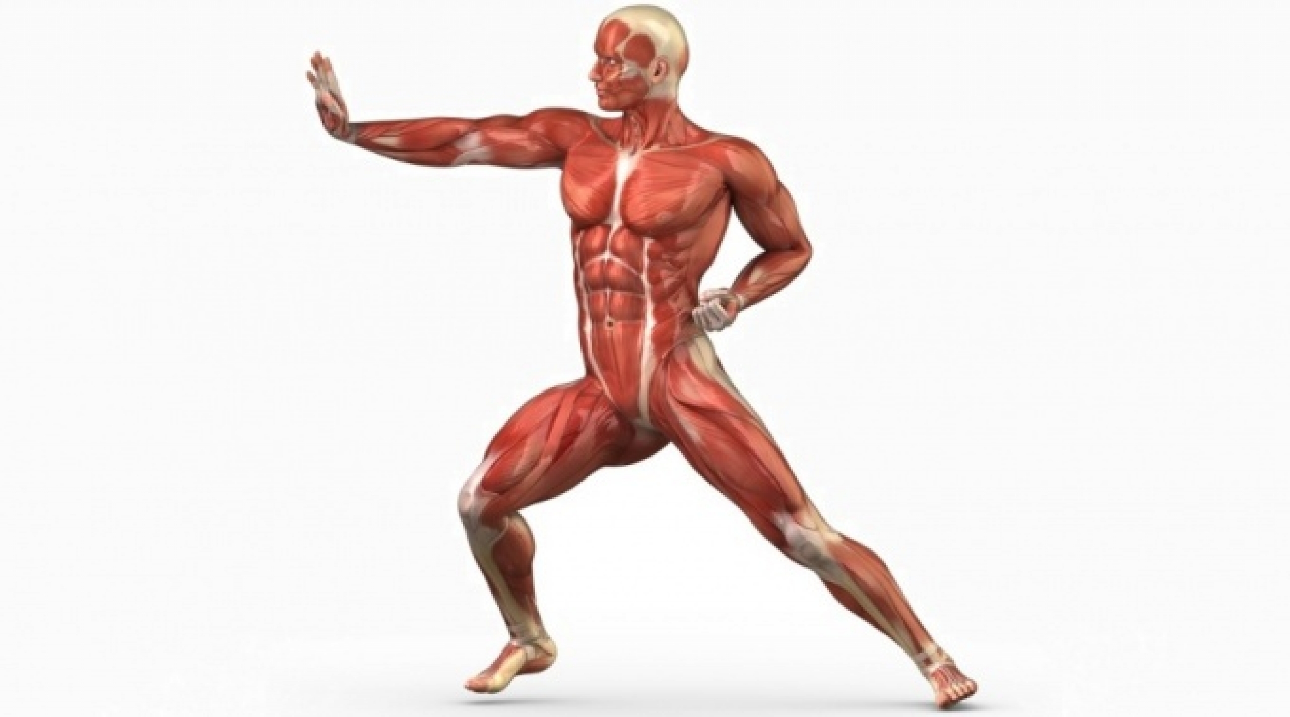 Чем грозит гипокинезия – уменьшение объема мышц