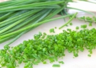 Зеленый лук полезен для вашего здоровья