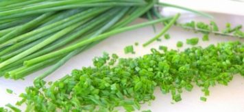 Зеленый лук полезен для вашего здоровья