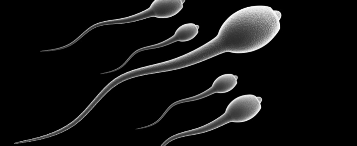 Правда и вымысел о свойствах мужской спермы