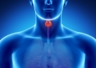 Нарушения щитовидной железы и лишний вес