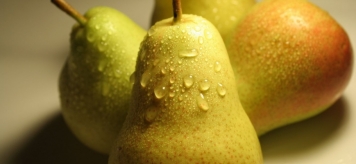 Груша: польза и вред фрукта для организма