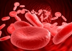 О чем говорят показатели эритроцитов в анализе крови?