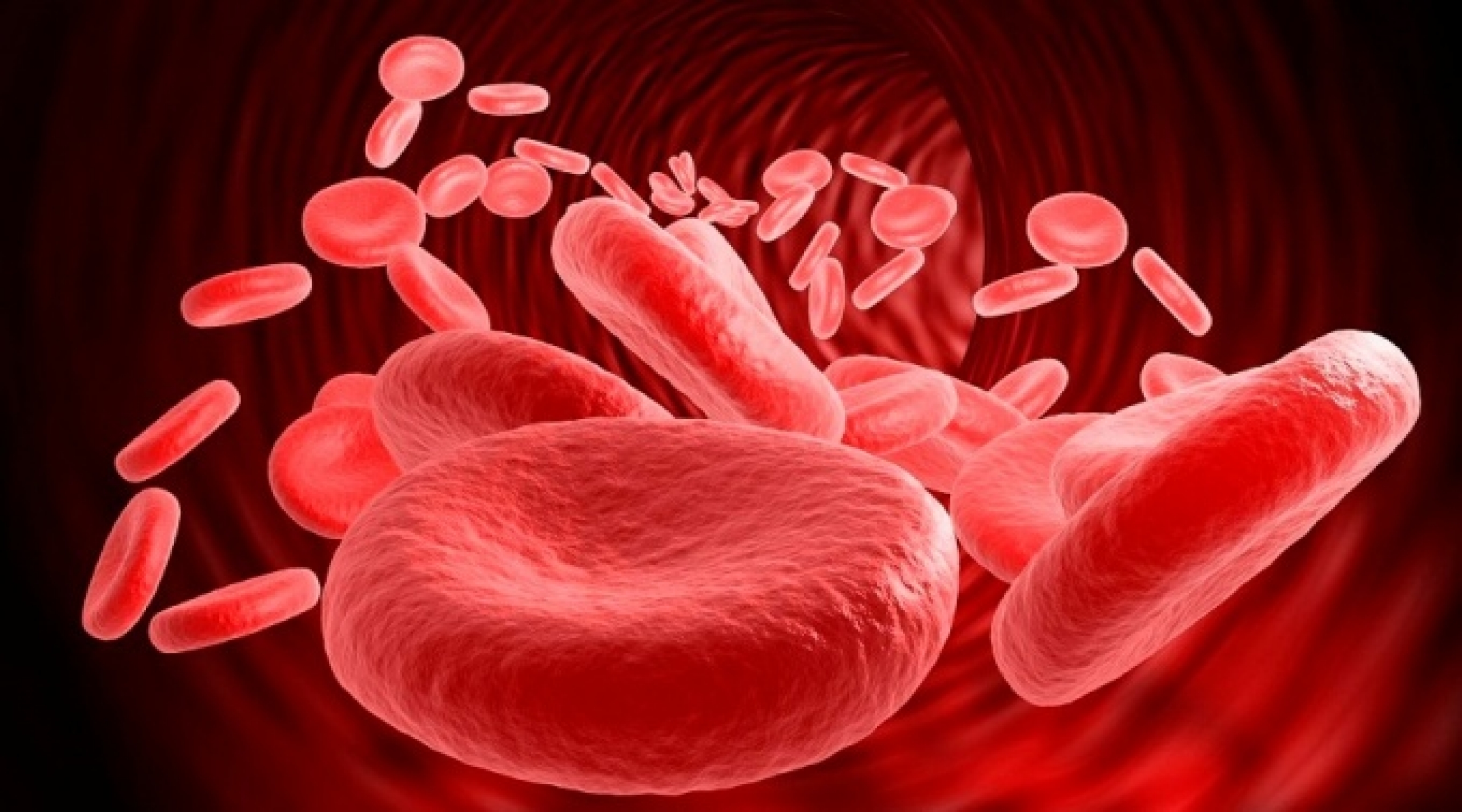 О чем говорят показатели эритроцитов в анализе крови?