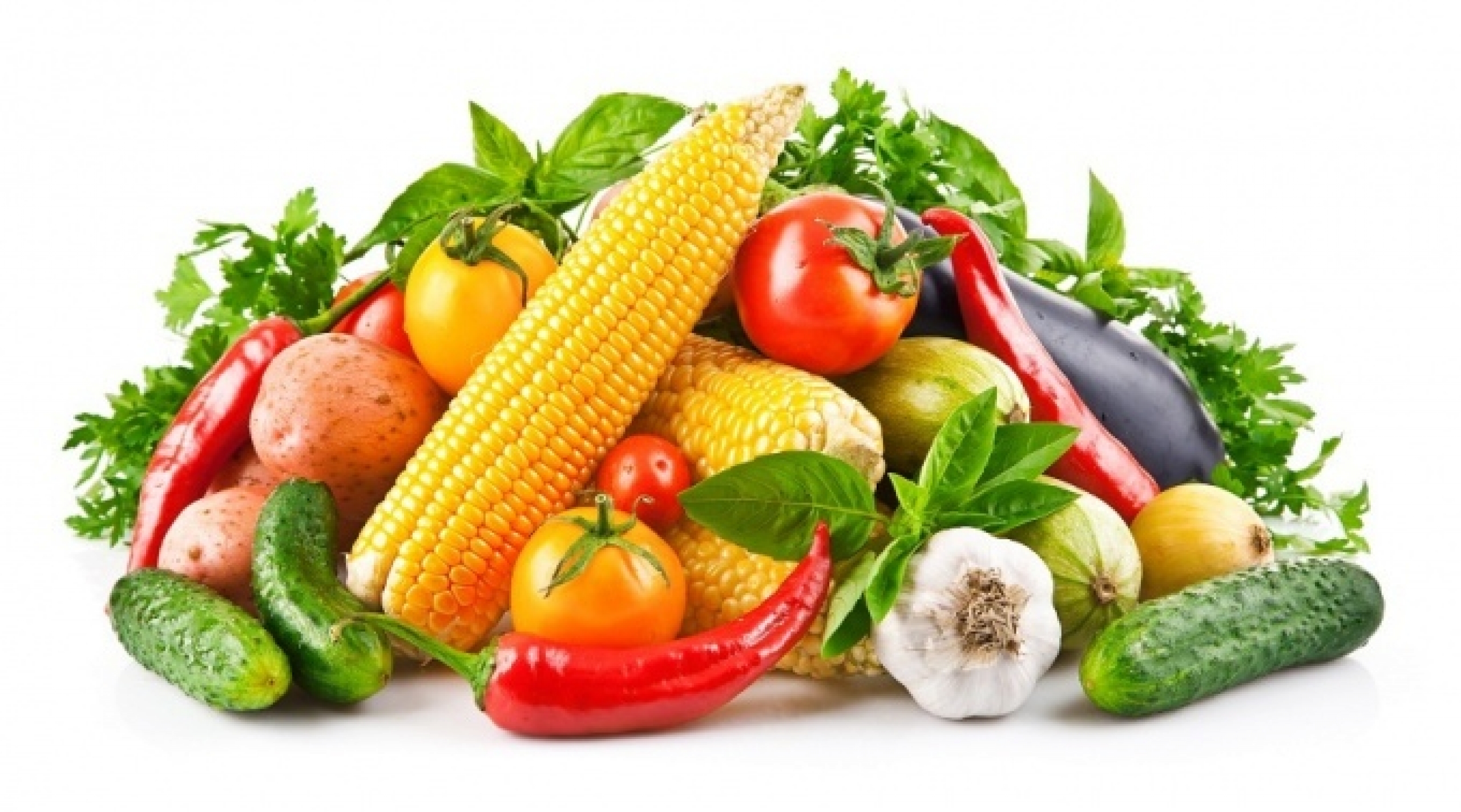 Польза вегетарианства – протеины без мяса