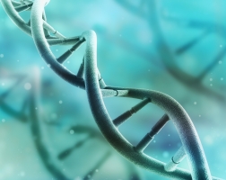 Генетический скрининг: 4 веских причины пройти обследование