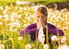 Аллергия – откуда, почему и - как застраховаться