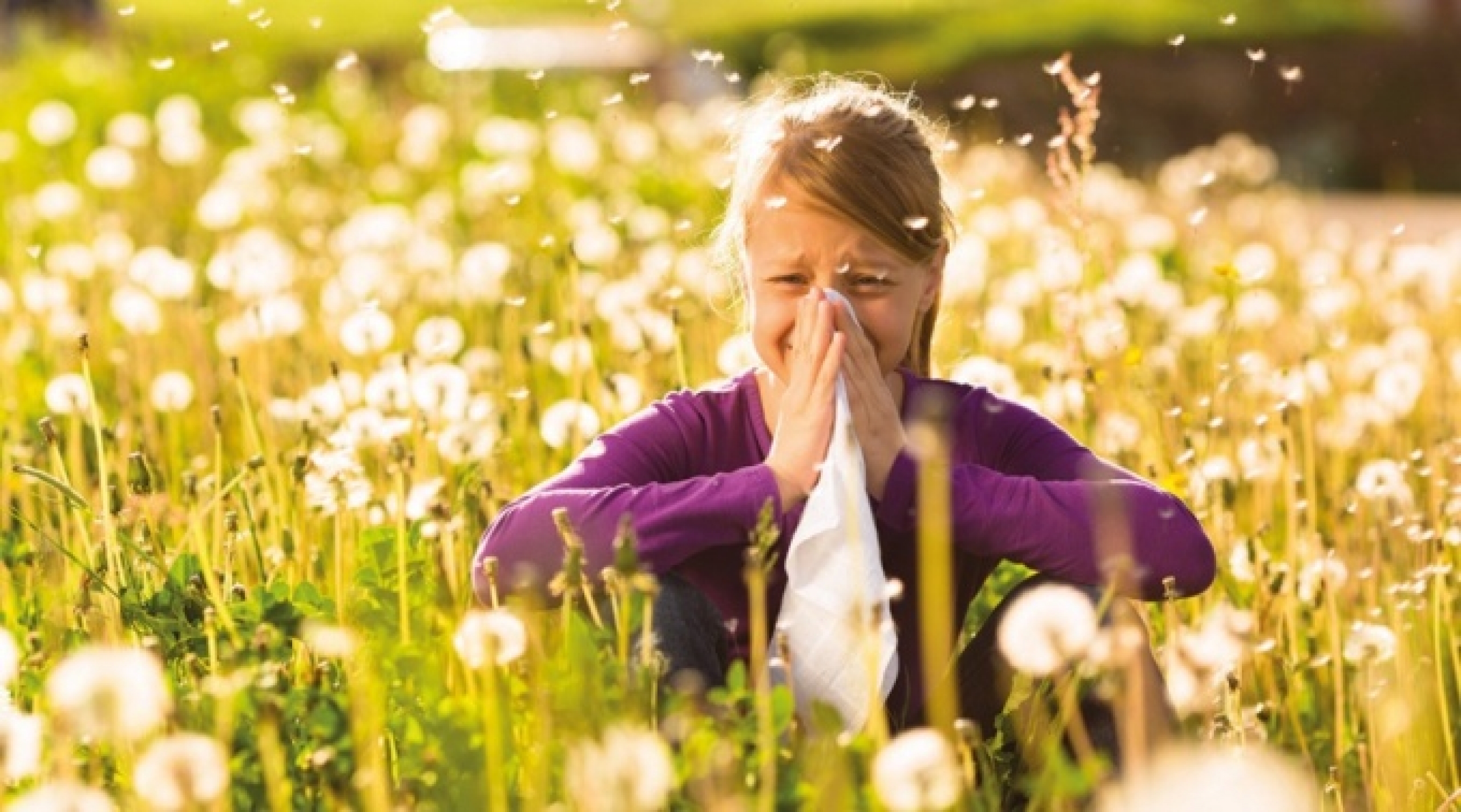 Аллергия – откуда, почему и - как застраховаться