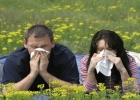 Диагностика и лечение аллергии