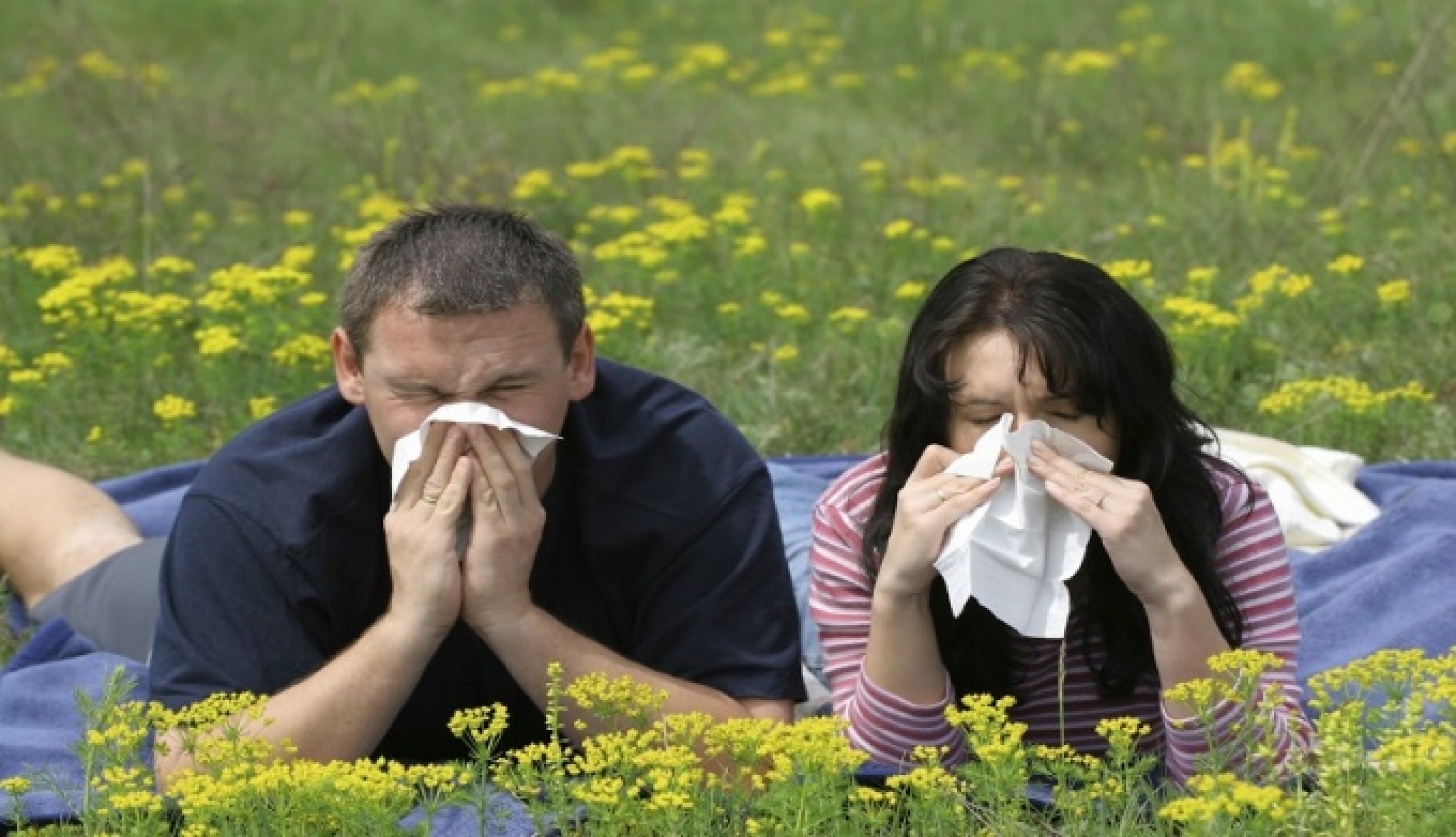 Диагностика и лечение аллергии