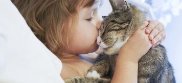 Кошка заразила лишаем ребенка – оперативное лечение