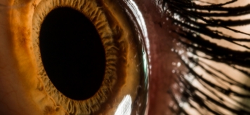 Иридодиагностика: распознаем болезни по глазам
