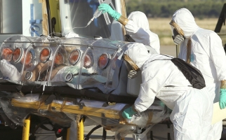 Геморрагическая лихорадка Эбола