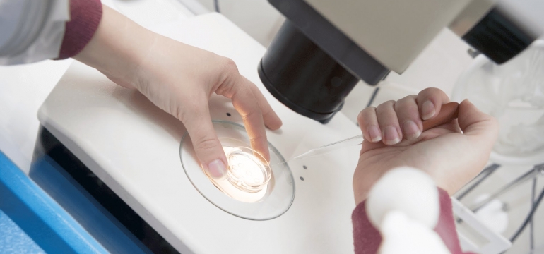 Процесс проведения культивирования эмбрионов